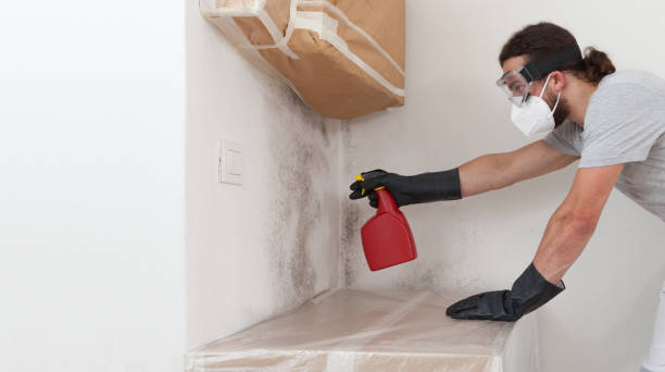 Professional Basement Mold Removal technician working in Stevenson, MD